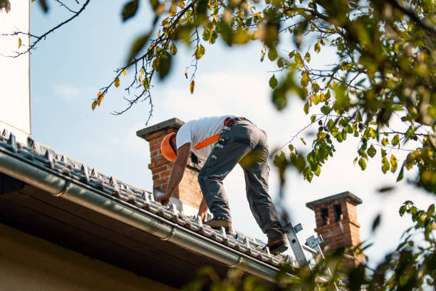 Best Metal Roofing Contractor  in Whiteville, TN