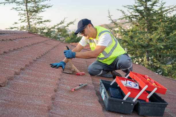 Best Roof Gutter Cleaning  in Whiteville, TN