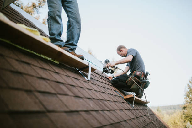 Residential Roof Replacement in Whiteville, TN